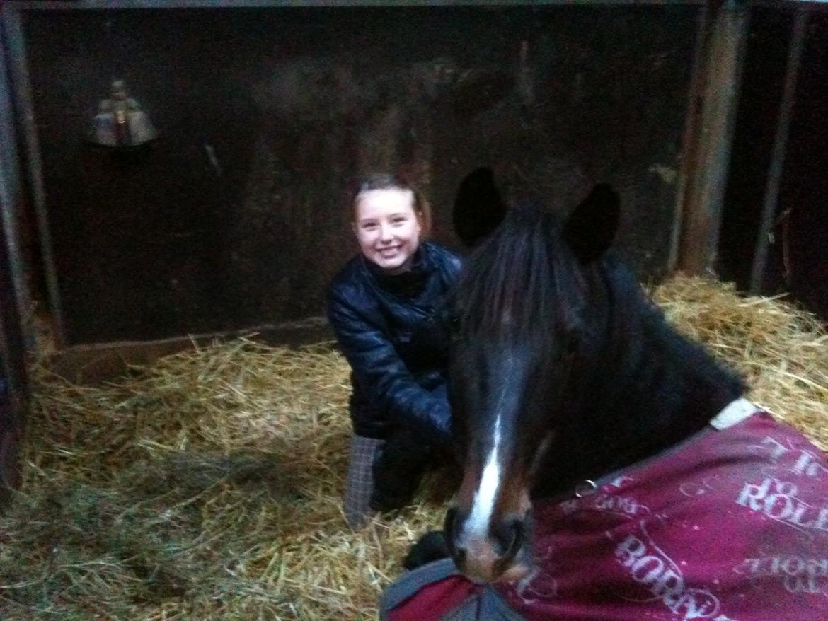 Hollandsk Sportspony Betje (Baby) - Ægte kærlig og tillid billede 6