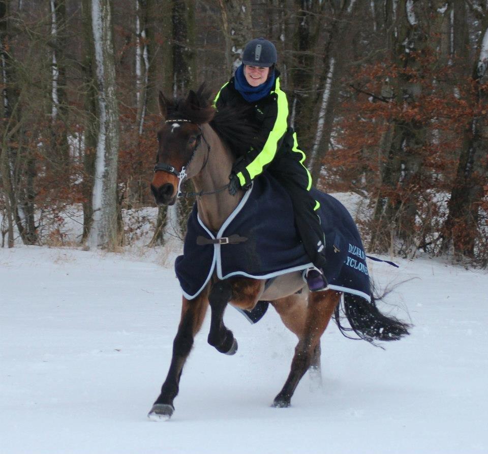 Dansk Varmblod - Dalvangs Cyclone <3 - 19 | Jeg behøver ikke prinsen på den hvide hest. Jeg har mit eget eventyr lige her <3. D. 11.12.12 billede 19