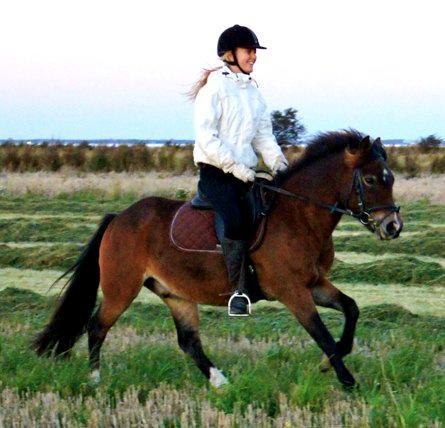 Anden særlig race Hansi *SOLGT* - <3 billede 14