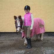 Shetlænder Prinsesse<3