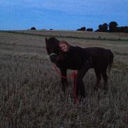 Anden særlig race Lucky <3