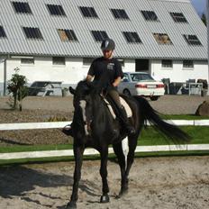 Anden særlig race Bugge Tolstrup