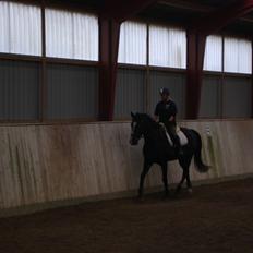 Anden særlig race Bugge Tolstrup