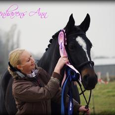 Oldenborg Rosenhavens Ann *YNDLINGS-HESTEN*
