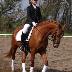 DSP Jalousi Af Stensnæs