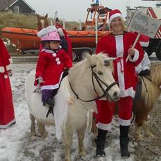 Anden særlig race Awers Lady GaGa