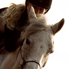 DSP Sv's Mercedes Morgenstern<3