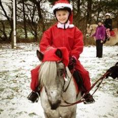 Knabstrupper Vores Tempo *Stjerne-pony*