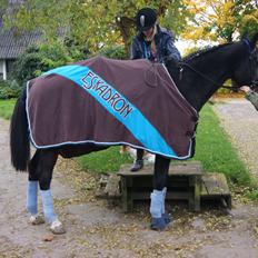 Dansk Varmblod Lineur