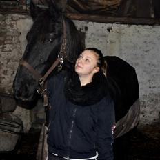 Frieser Geartsje Tjimske K. [Solgt]