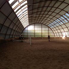 Anden særlig race Wotan