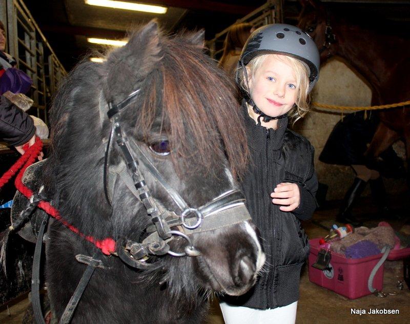 Shetlænder Ghost *Grynte* <3 - Ghost og Elise trak en 2 plads med hjem efter stævnet i Kjellerup billede 20