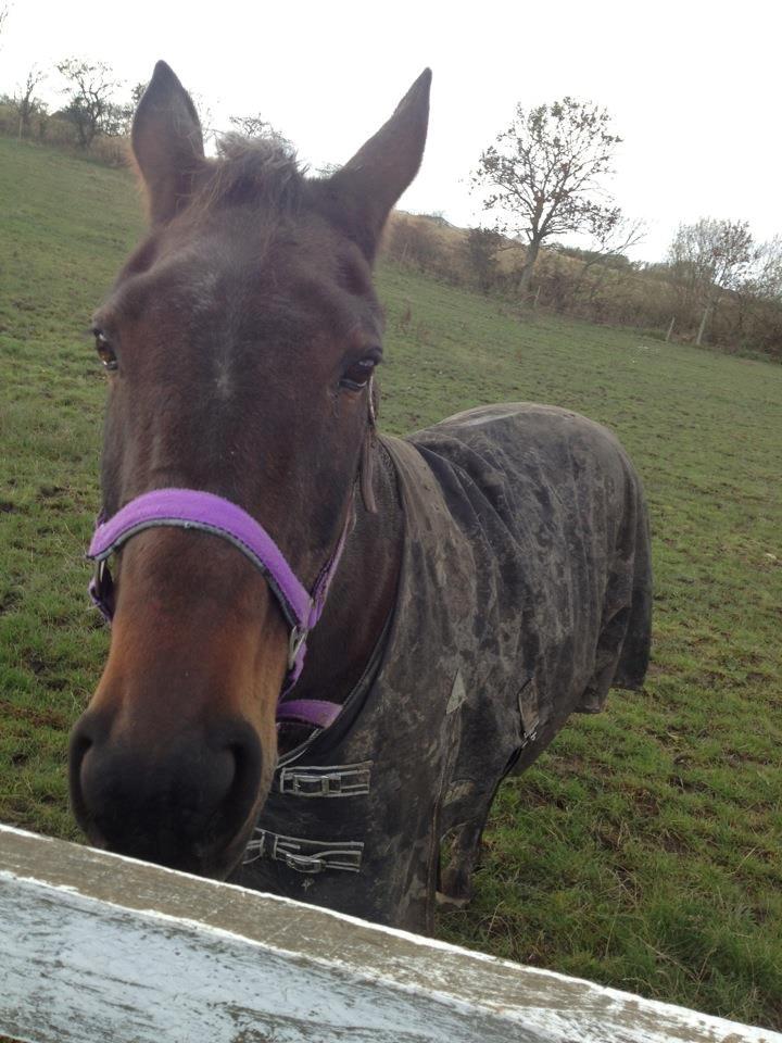 Traver Nikita ås - :)  billede 11