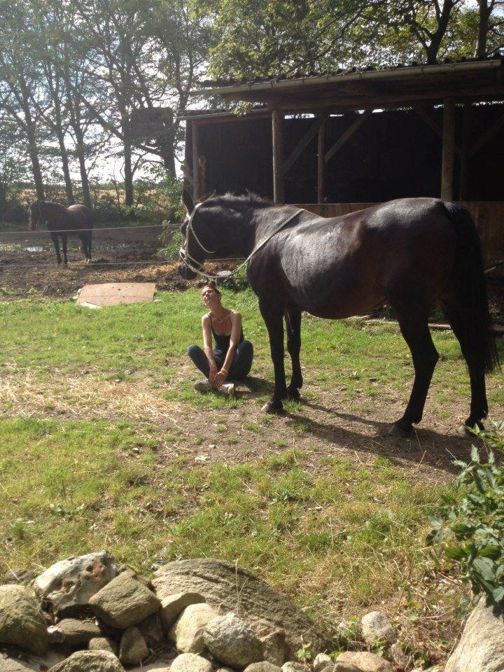 Traver Nikita ås - sommer 2012 rigtig hygge dag efter en lille ride tur <3 billede 19