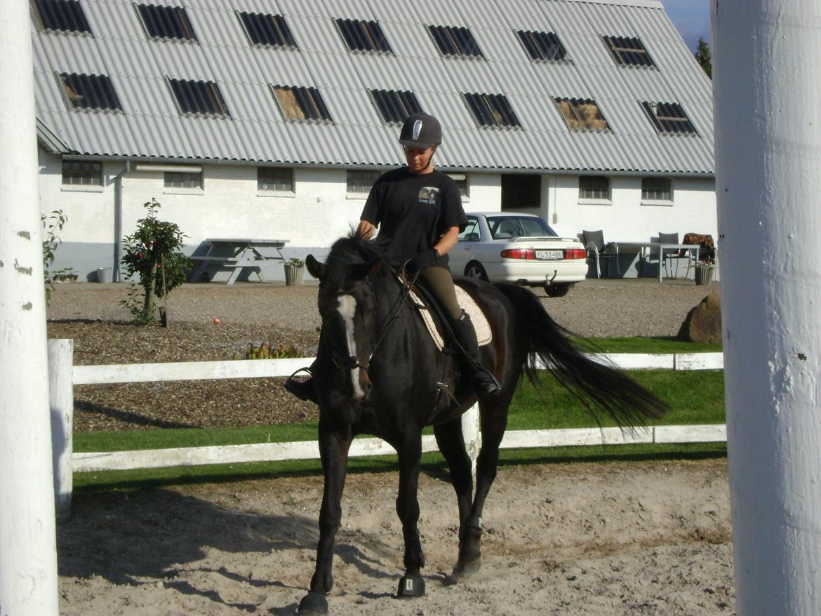 Anden særlig race Bugge Tolstrup billede 2