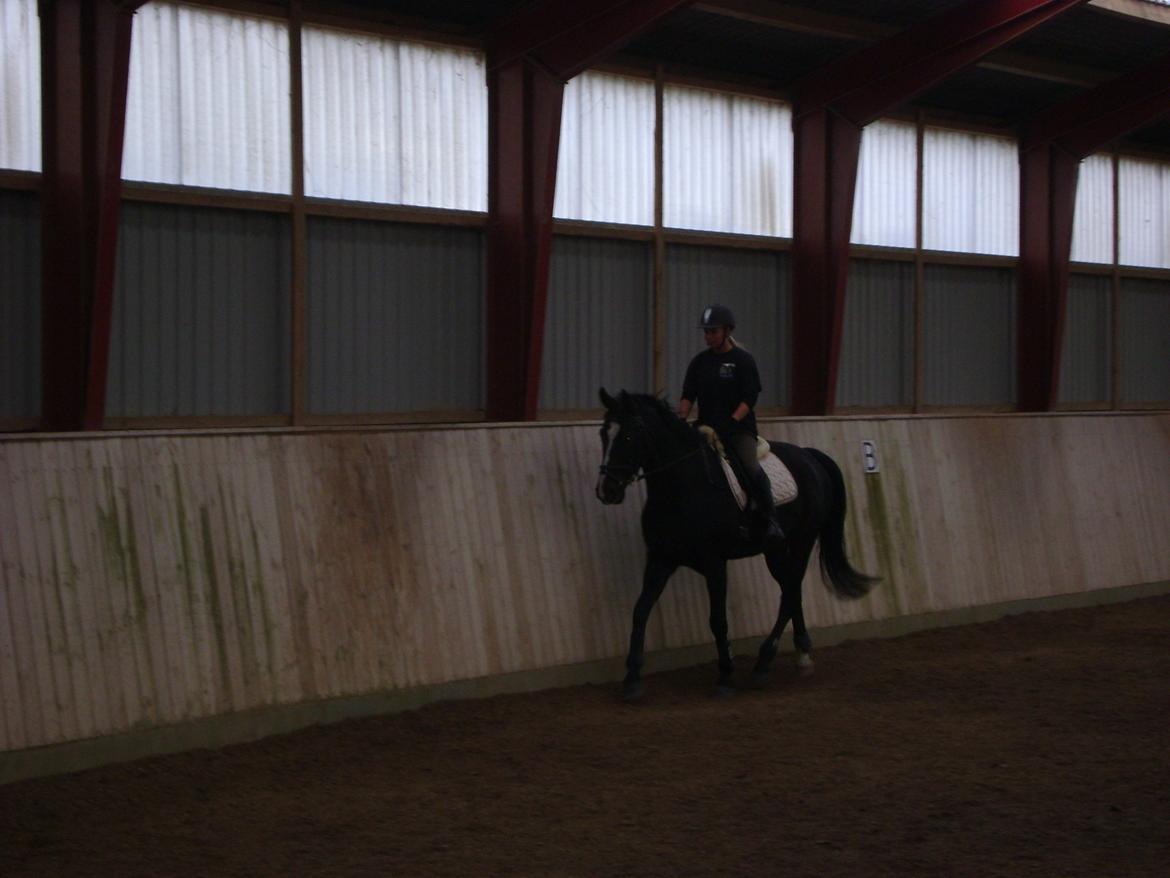 Anden særlig race Bugge Tolstrup billede 3