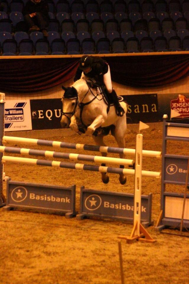 Dansk Varmblod NICE FELLOW - CSIJ-A Baltic Cup finale, Vilhelmsborg. Big tour fredags, 130 cm, 4 fejl. billede 10