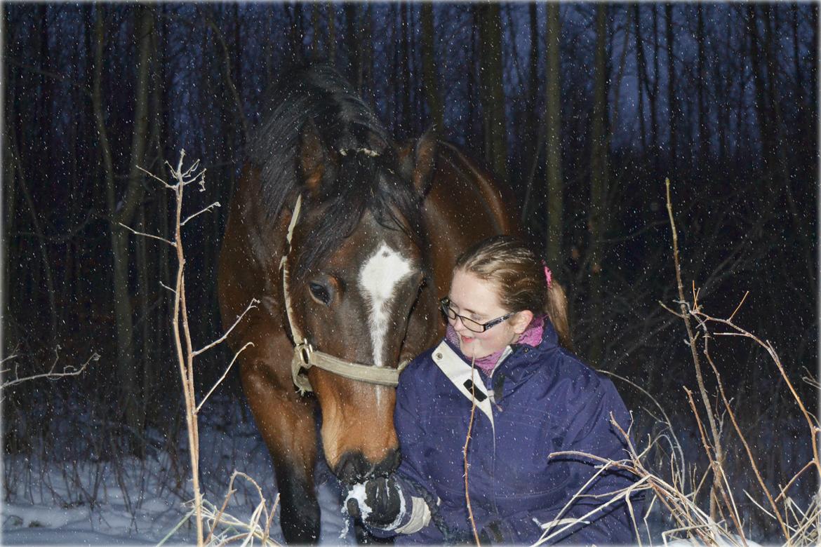 Dansk Varmblod Fleurie - Vinter 2012 - Dejlige Fleurie <3 billede 7