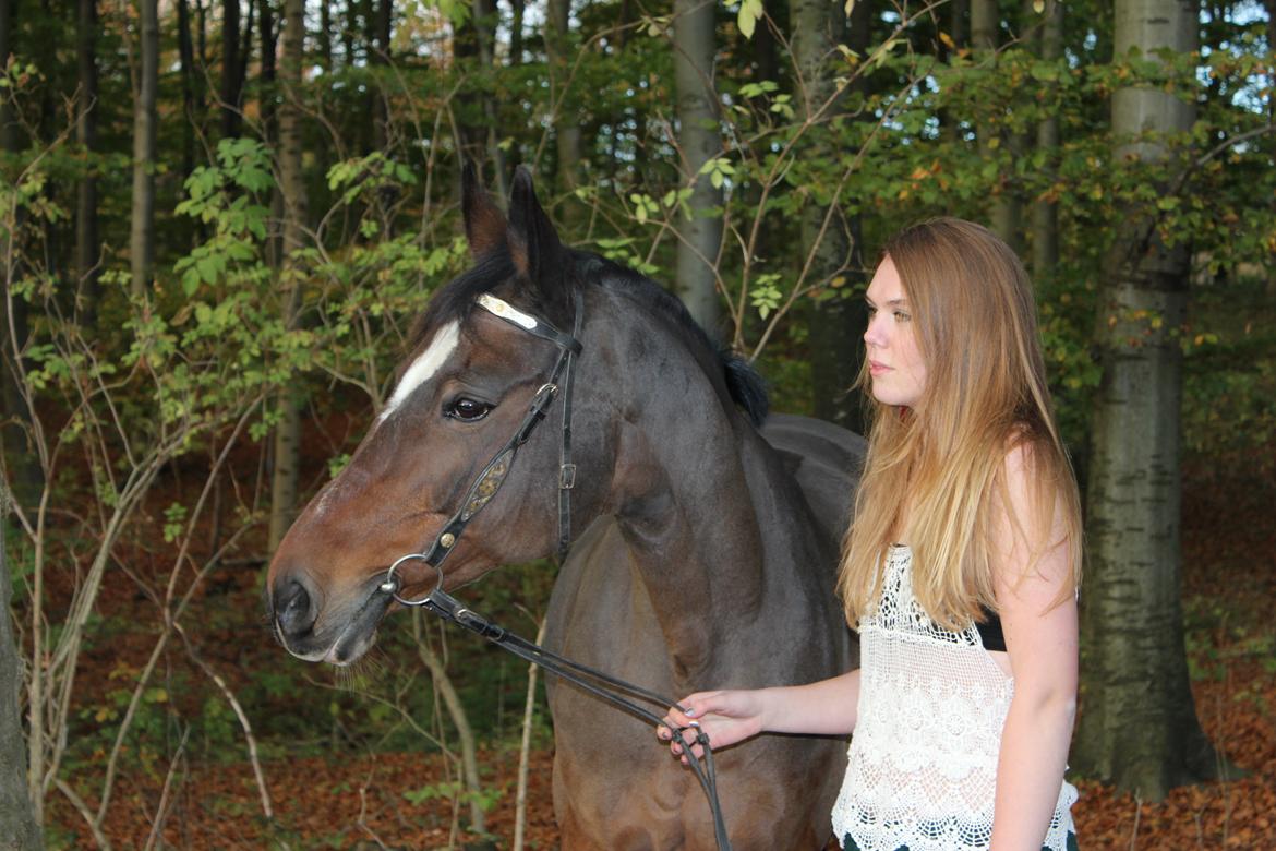 Dansk Varmblod Madame Moiselle - Foto: Emilia Hentze billede 5