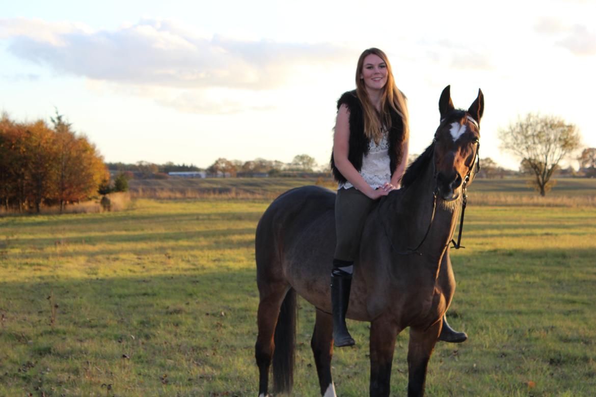 Dansk Varmblod Madame Moiselle - Hygger med baby <3
Foto: Emilia Hentze billede 2