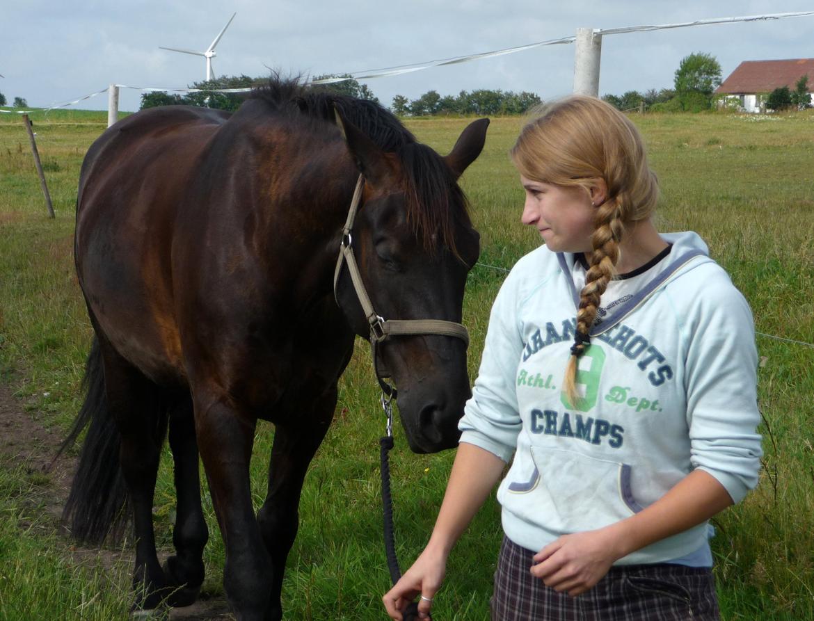 Anden særlig race Skonhøjs Mr. Perfect - Solgt billede 7