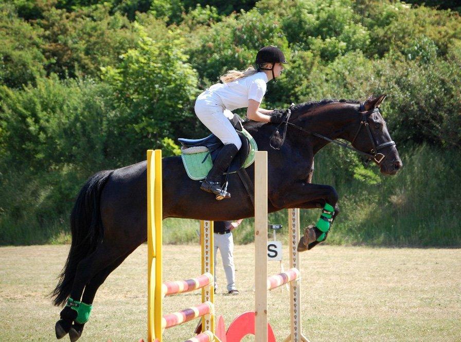 Anden særlig race Skonhøjs Mr. Perfect - Solgt billede 9