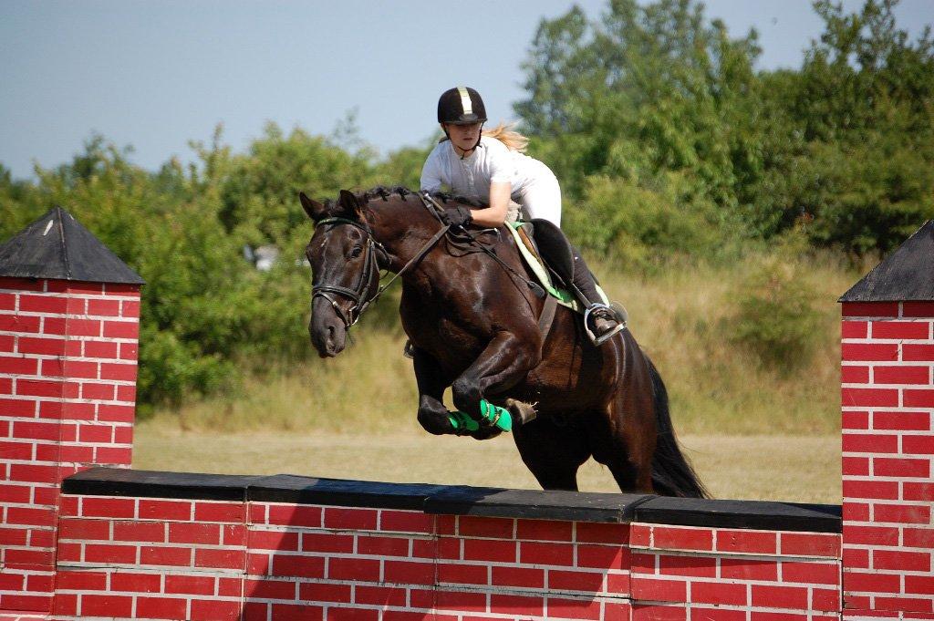 Anden særlig race Skonhøjs Mr. Perfect - Solgt billede 10