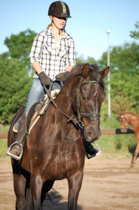 Anden særlig race Skonhøjs Mr. Perfect - Solgt billede 16