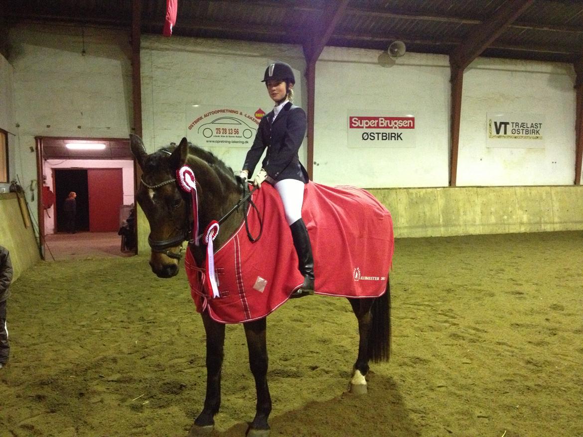 Dansk Varmblod Santos P - Klubmester 2012! billede 2