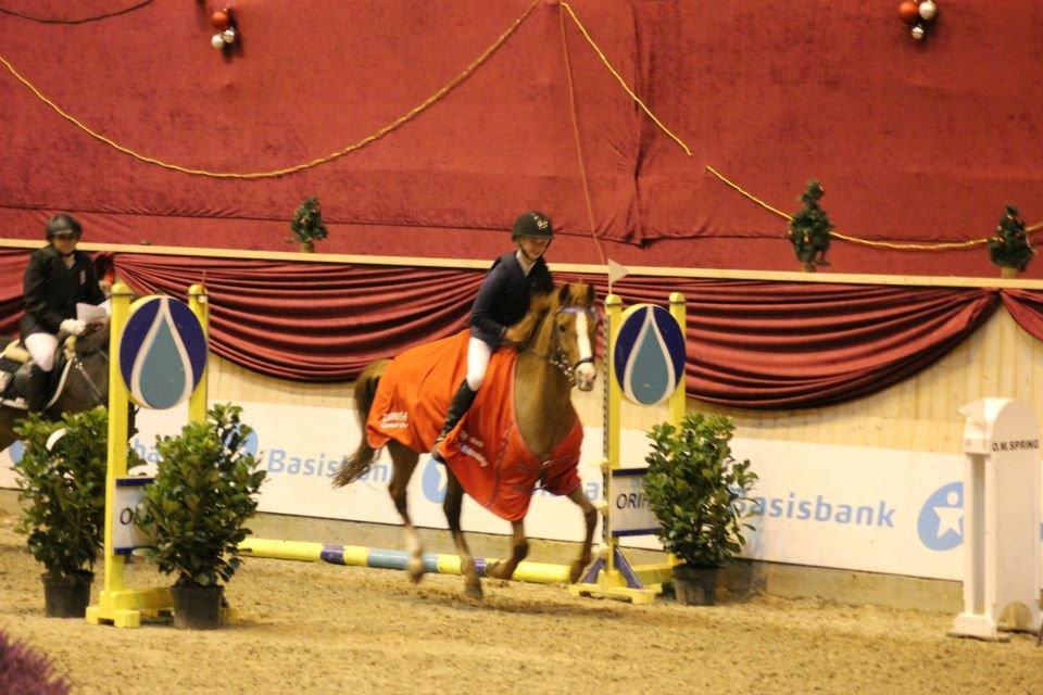 Hollandsk Sportspony Chili Pepper K - Æresrunde alene, til Christmas Show WM 2012 :) billede 19