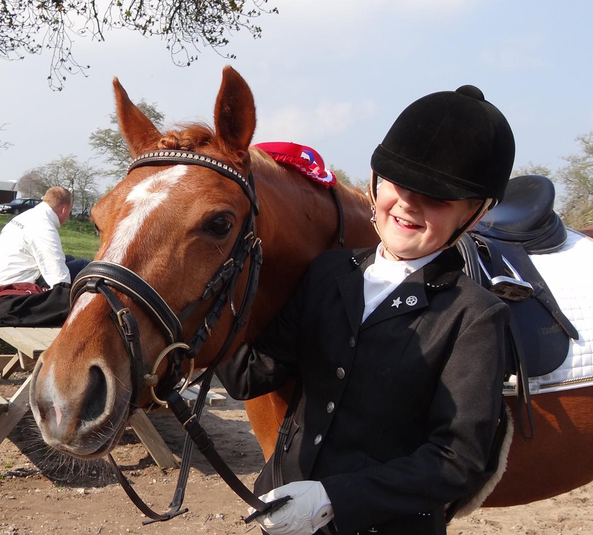 DSP Jalousi Af Stensnæs - Hihi billede 4