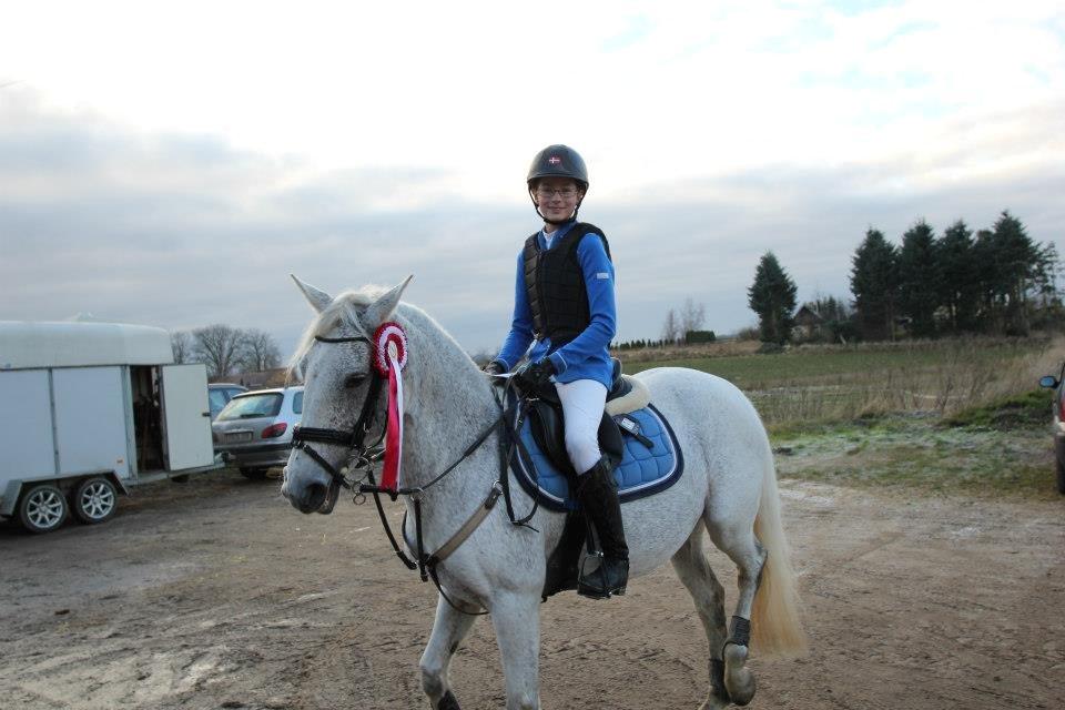 Connemara Dalestown Suzie Q billede 11