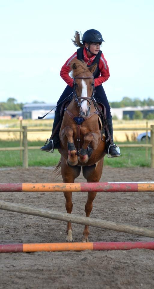 Hollandsk Sportspony Orchid´s Mirabile<3 A-pony - Opvarming<3 billede 20