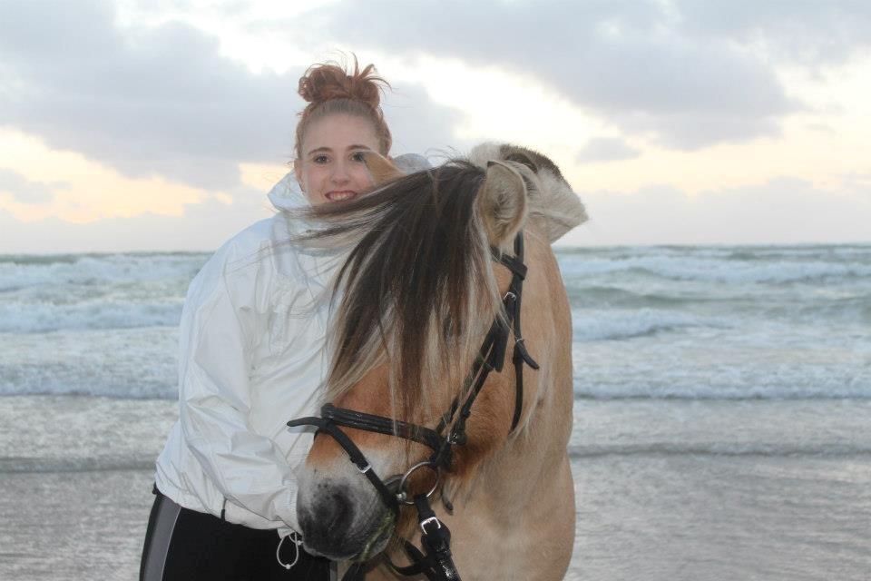 Fjordhest TOT - Billede fra Blokhus med ANE 12/13 :<3 billede 15