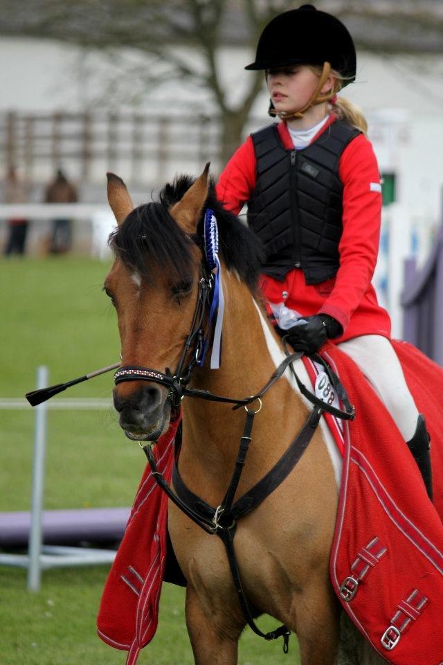 Pinto Holleskovgårds Teckla. - 2 plads i Morsø! ♥ Taget af: CHS FOTO billede 18