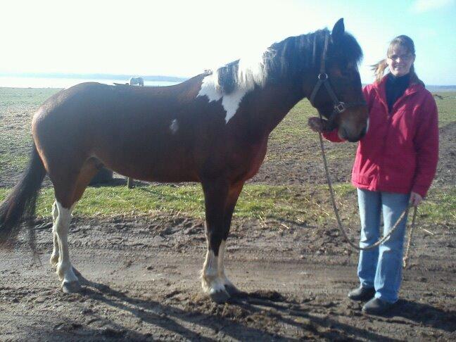 Pinto Fadugo - Foto model!:-) billede 3