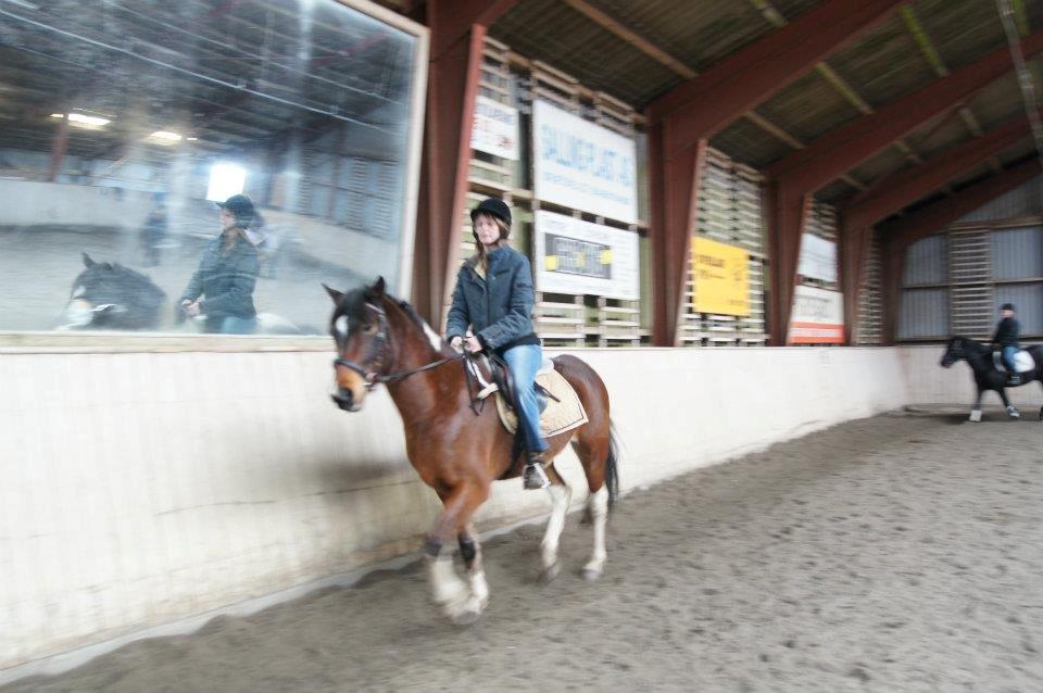 Pinto Fadugo - Fadugo:-) billede 9