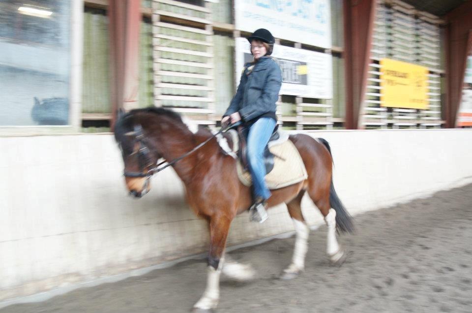 Pinto Fadugo - Fadugo:-) billede 10