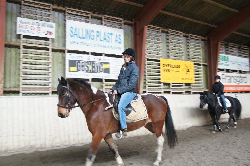 Pinto Fadugo - Fadugo:-) billede 11