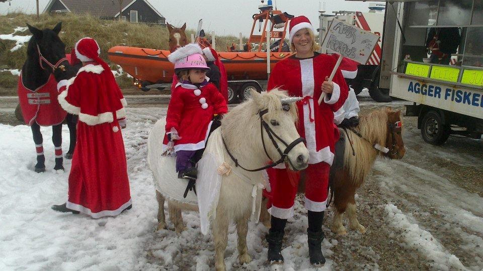 Anden særlig race Awers Lady GaGa - laura red juleoptog på lady gaga :) billede 1