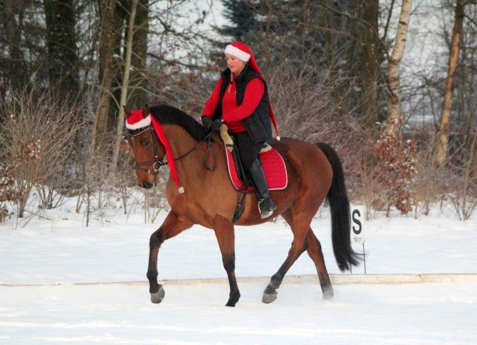 Holstener Flair billede 9