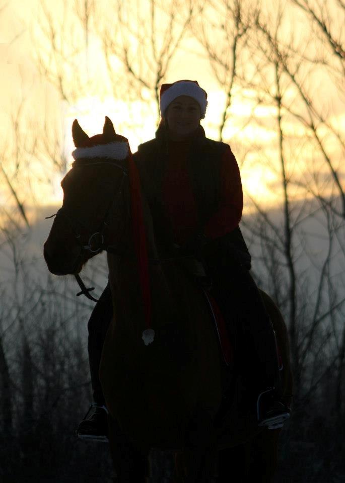 Holstener Flair - Smuk solnedgang på en kold vinter dag billede 12
