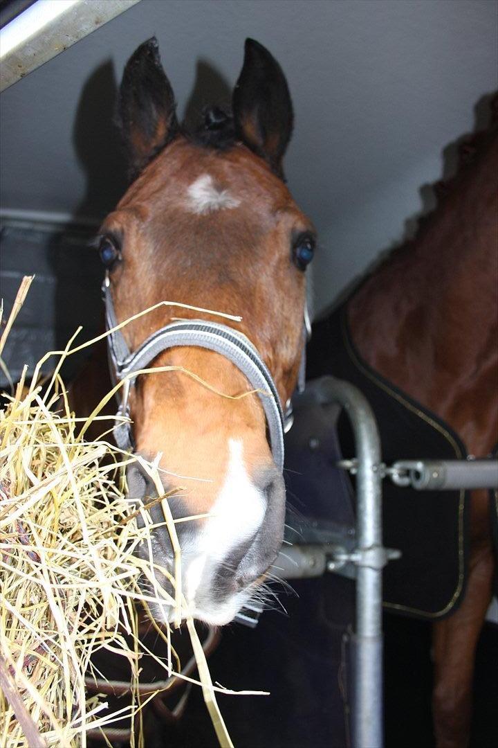 DSP Ambrosius A.M. billede 1