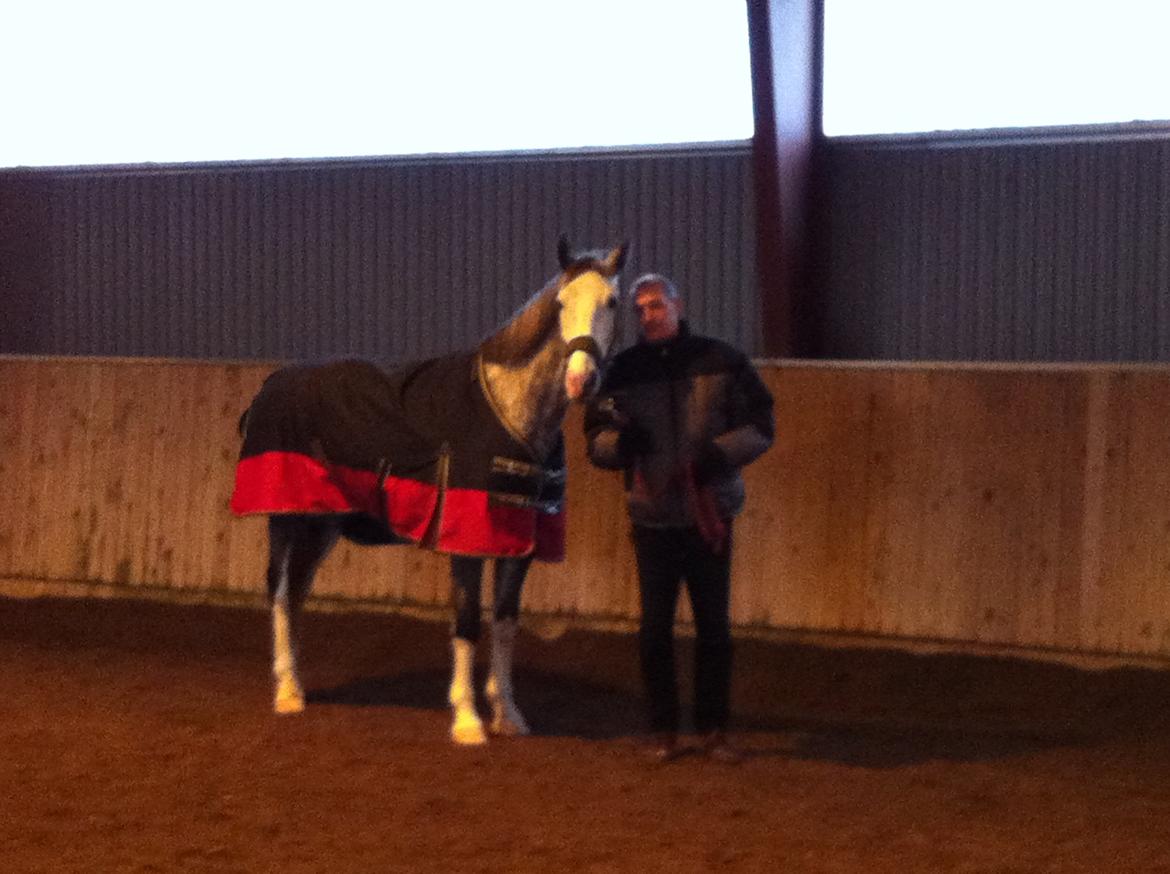 Hollandsk Varmblod Ernavidu - Min far og Evida billede 14