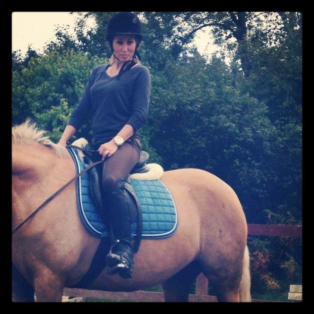 Welsh Cob (sec D) Anjershof Pearl billede 5