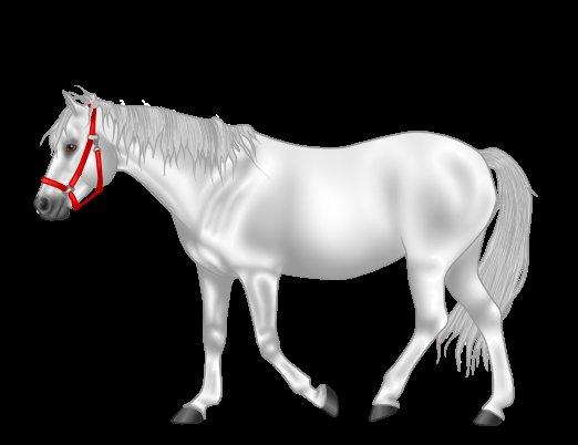 Connemara Nørlunds Petsy Bay *Petter* 1996-2012 - Petsy tegnet af en veninde kaldet Fairly :) billede 20