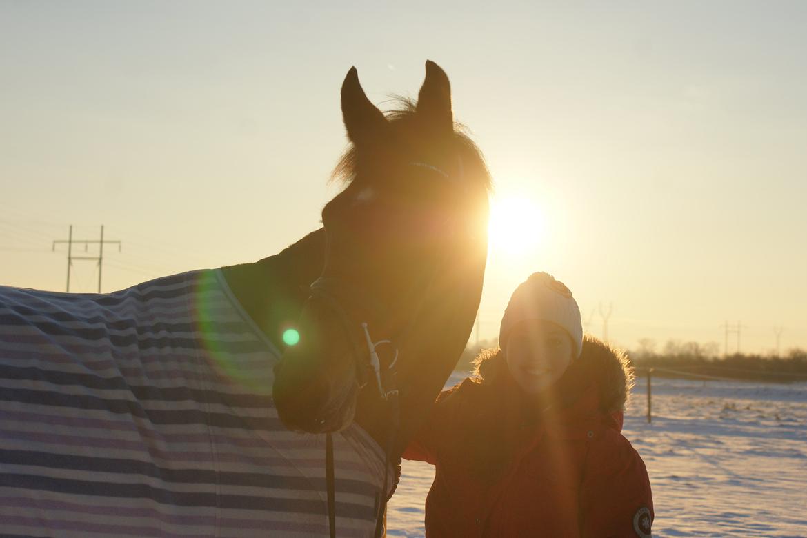 Holstener Pretty woman billede 9