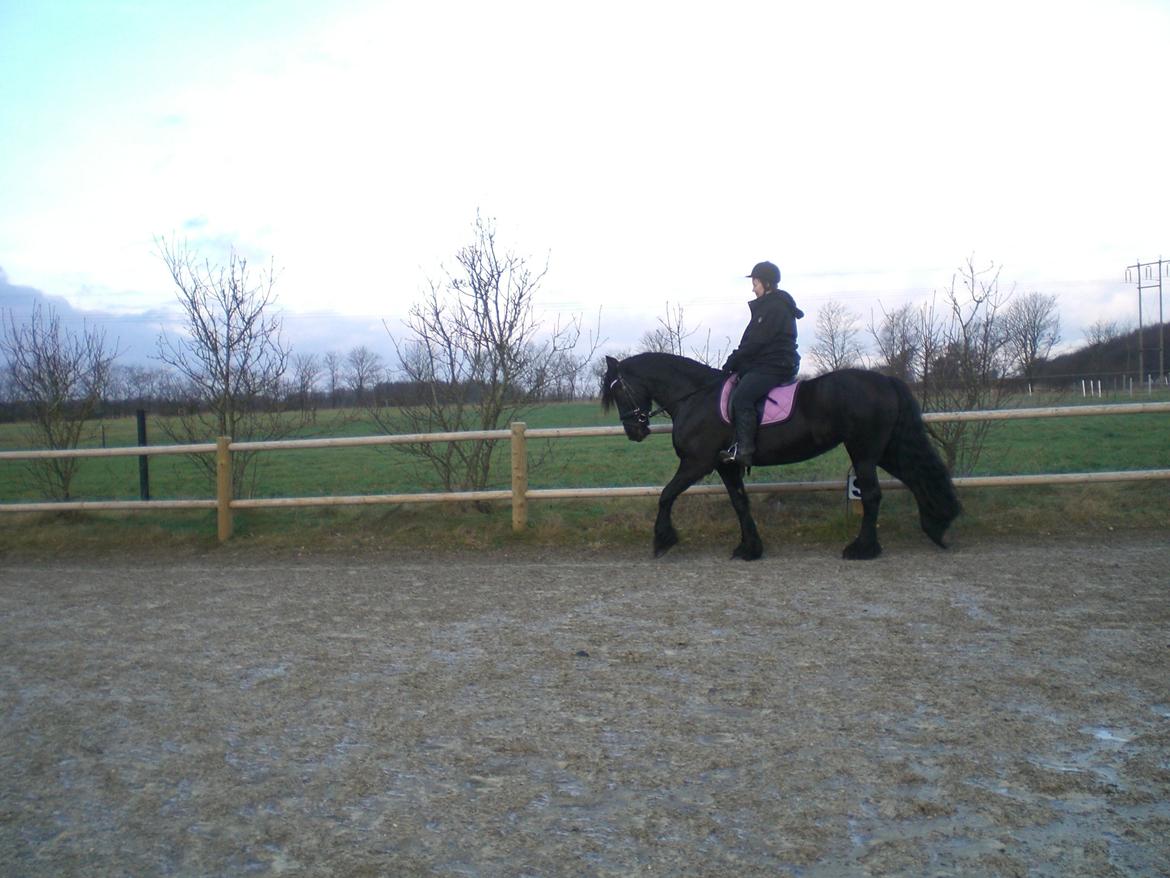 Frieser frouke ( tidliger part) billede 6