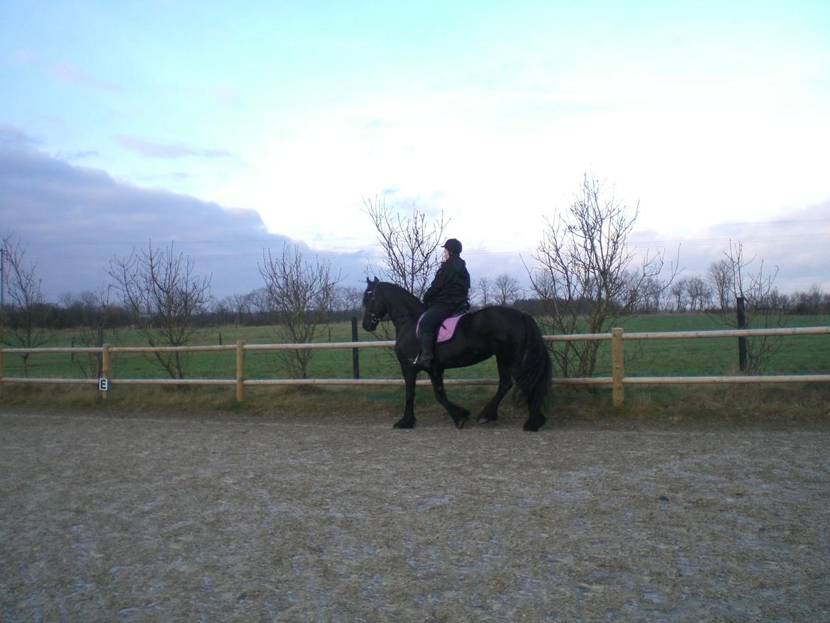 Frieser frouke ( tidliger part) billede 7