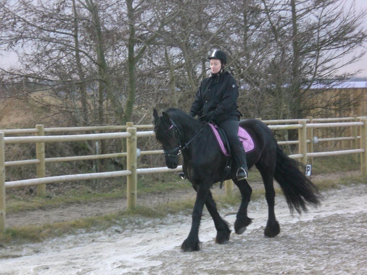 Frieser frouke ( tidliger part) billede 4